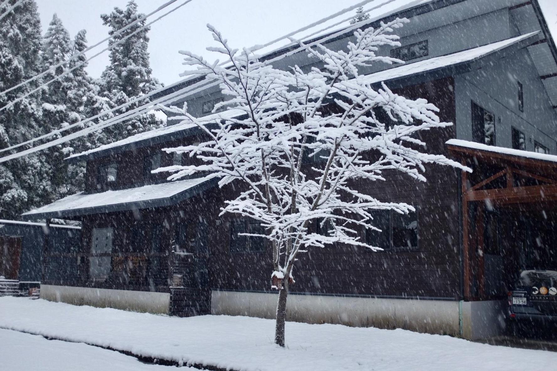 Bears Den Mountain Lodge Hakuba Exterior photo